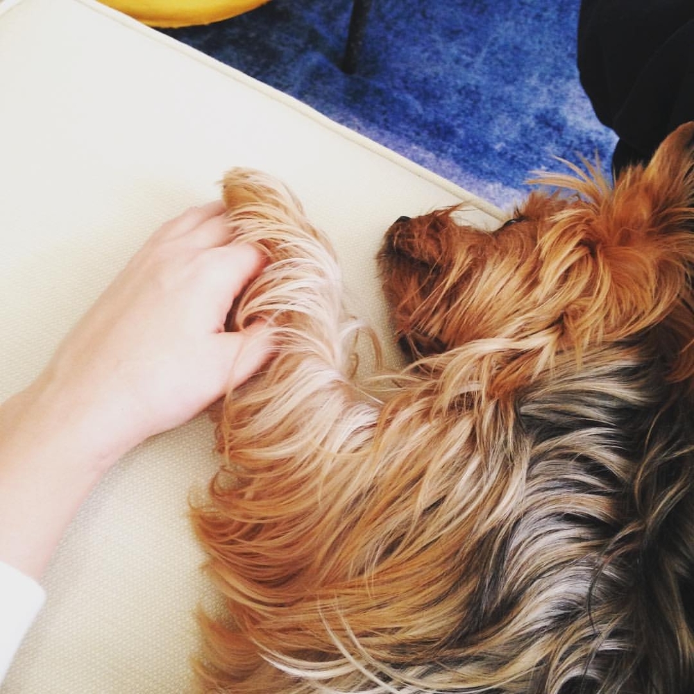 Meet your Posher, Kim